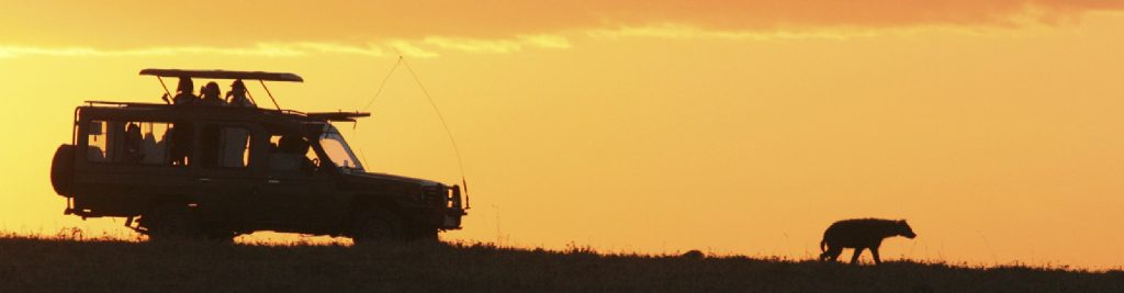 10-Day Safari Spectacular